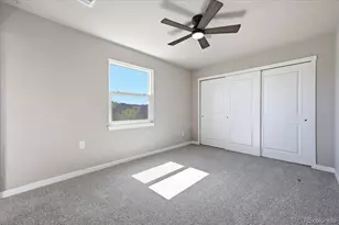 1169 S Gilbert St, Castle Rock, CO 80104 - Photo 12
