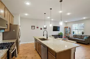 16461 E 119th Way, Commerce City, CO 80022 - Photo 4
