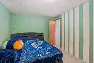 611 W Main St, Buena Vista, CO 81211 - Photo 24