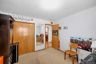 4317 Ceylon St, Denver, CO 80249 - Photo 20