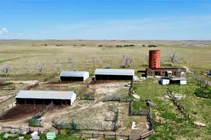 8557 Hwy 86, Kiowa, CO 80117 - Photo 4