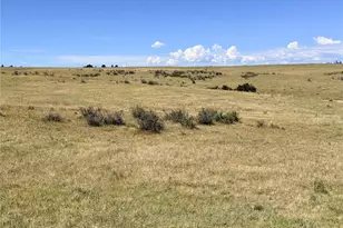 8557 Hwy 86, Kiowa, CO 80117 - Photo 16