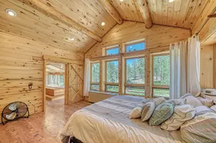 18480 Ponderosa, Buena Vista, CO 81211 - Photo 18