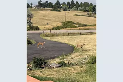13786 Travois Trail, Parker, CO 80138 - Photo 20
