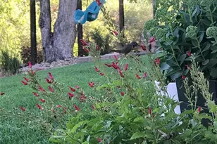 7825 E Kettle Ave, Centennial, CO 80112 - Photo 40