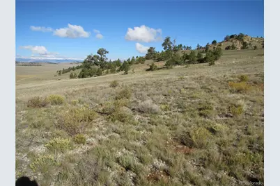 533 Cohonina Road, Hartsel, CO 80449 - Photo 8