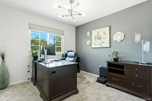 10445 Brookwood Point, Highlands Ranch, CO 80130 - Photo 20