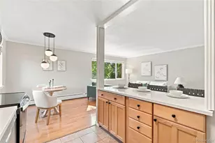1151 N Marion Street, Denver, CO 80218 - Photo 22