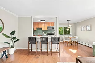 1151 N Marion Street, Denver, CO 80218 - Photo 4