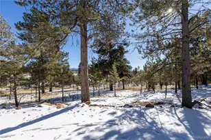 730 Cheyenne Creek, Lake George, CO 80827 - Photo 34