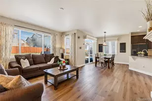 10254 Nucla St, Commerce City, CO 80022 - Photo 14