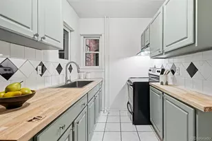 1137 N Sherman Street, Denver, CO 80203 - Photo 2