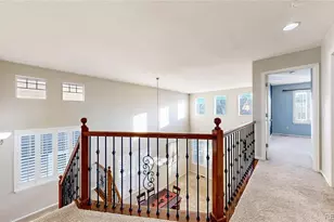 10797 Hickory Ridge St, Highlands Ranch, CO 80126 - Photo 20