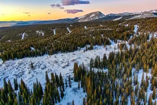 1292 Valley of the Sun Dr, Fairplay, CO 80440 - Photo 34