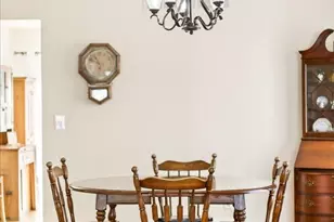 20 Shetland Ct, Highlands Ranch, CO 80130 - Photo 8