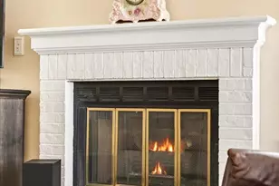 20 Shetland Ct, Highlands Ranch, CO 80130 - Photo 4