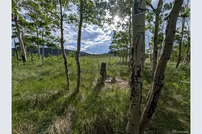 2433 Petito Drive, Fort Garland, CO 81133 - Photo 1