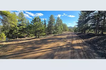595 Mustang Trail, Florissant, CO 80816 - Photo 4