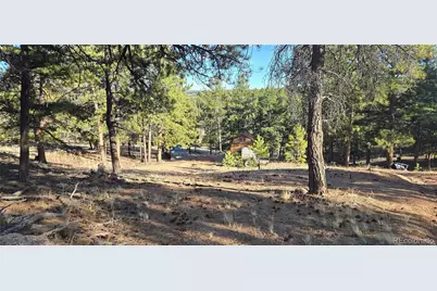 595 Mustang Trail, Florissant, CO 80816 - Photo 2