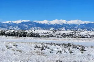 3221 Arnica Wy, Franktown, CO 80116 - Photo 44