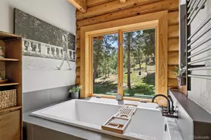 4620 Forest Hill Rd, Evergreen, CO 80439 - Photo 18