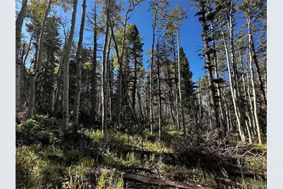 Lot 2652 Petito Drive, Fort Garland, CO 81133 - Photo 6