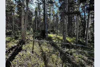 Lot 2652 Petito Drive, Fort Garland, CO 81133 - Photo 1