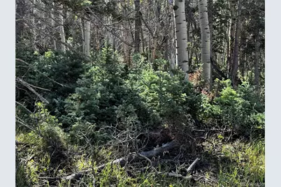 Lot 2652 Petito Drive, Fort Garland, CO 81133 - Photo 8