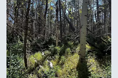 Lot 2652 Petito Drive, Fort Garland, CO 81133 - Photo 16