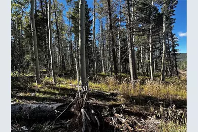 Lot 2652 Petito Drive, Fort Garland, CO 81133 - Photo 14
