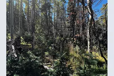 Lot 2652 Petito Drive, Fort Garland, CO 81133 - Photo 12