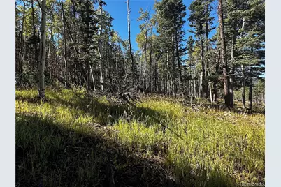 Lot 2652 Petito Drive, Fort Garland, CO 81133 - Photo 10