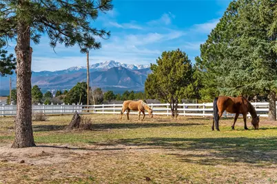 14475 Granby Road, Colorado Springs, CO 80921 - Photo 48