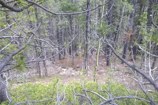 Lot #441 Hillside Rd, Idaho Springs, CO 80452 - Photo 1