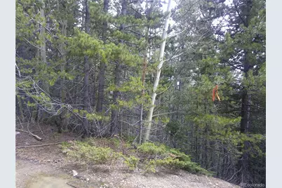 Lot #441 Hillside Road, Idaho Springs, CO 80452 - Photo 4
