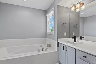4020 Brushwood Way, Castle Rock, CO 80109 - Photo 20