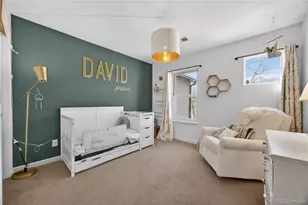 3707 Pecos Trail, Castle Rock, CO 80109 - Photo 22