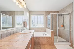 10916 Towerbridge Rd, Highlands Ranch, CO 80130 - Photo 20