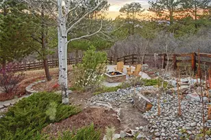 2587 Black Pine Dr, Castle Rock, CO 80104 - Photo 46