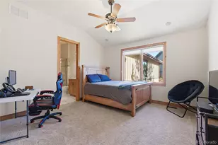 2587 Black Pine Dr, Castle Rock, CO 80104 - Photo 24