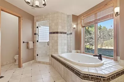 2587 Black Pine Drive, Castle Rock, CO 80104 - Photo 18