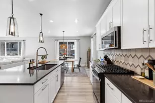 9750 Banner Peak St, Littleton, CO 80125 - Photo 8