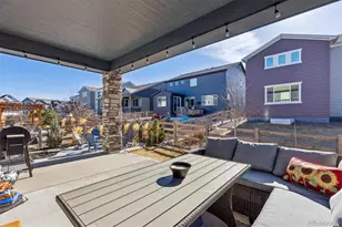 9750 Banner Peak St, Littleton, CO 80125 - Photo 24