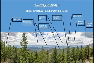 31320 Timothys Trail, Conifer, CO 80433 - Photo 40