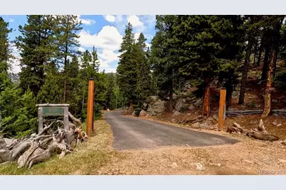 31320 Timothys Trail, Conifer, CO 80433 - Photo 4