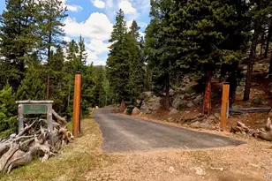 31320 Timothys Trail, Conifer, CO 80433 - Photo 4