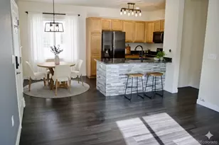 9350 Amison Cir, Parker, CO 80134 - Photo 6