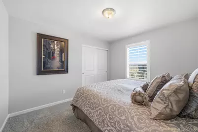 9063 Fraser River Street, Littleton, CO 80125 - Photo 26