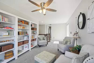 9063 Fraser River Street, Littleton, CO 80125 - Photo 18