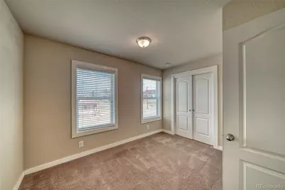203 Chestnut Street, Leadville, CO 80461 - Photo 20